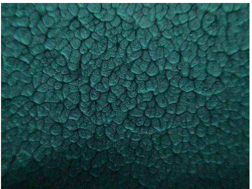 Water hammer paint